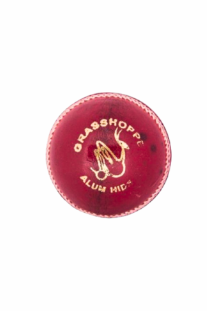 Grasshopper Versus Red Cricket Ball