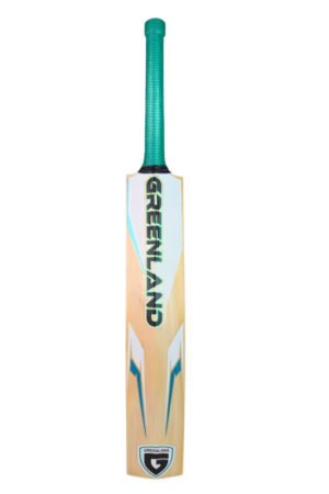 GLS Signature 9.0 Kashmir Willow Cricket Bat